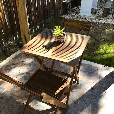 بويرتو موريلوس Room With Terrace المظهر الخارجي الصورة